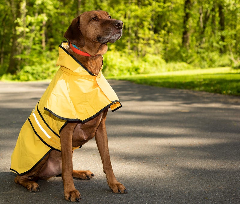 SPOT Rainy Days Slicker - Yellow Dog Rain Jacket With Hood, Reflective Strip for Safety, Leash Hole & Adjustable Velcro Belly Strap, 100% Polyester Water Resistant Pet Raincoat - Medium, 13in Long - Image 5